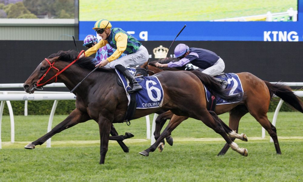 最终多次逆 最终多次逆