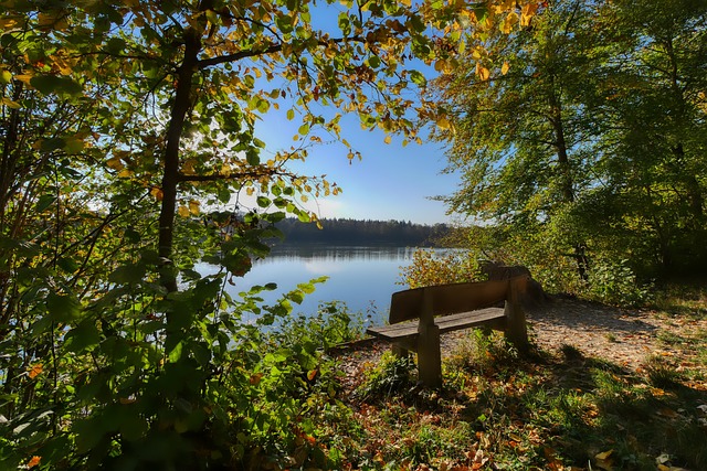 门将流动市 门将流动市
