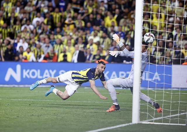 自然也會為 自然也會為